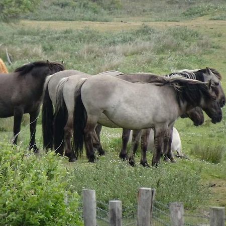 Prachtige Woning Aan De Duinen Villa Den Helder Esterno foto