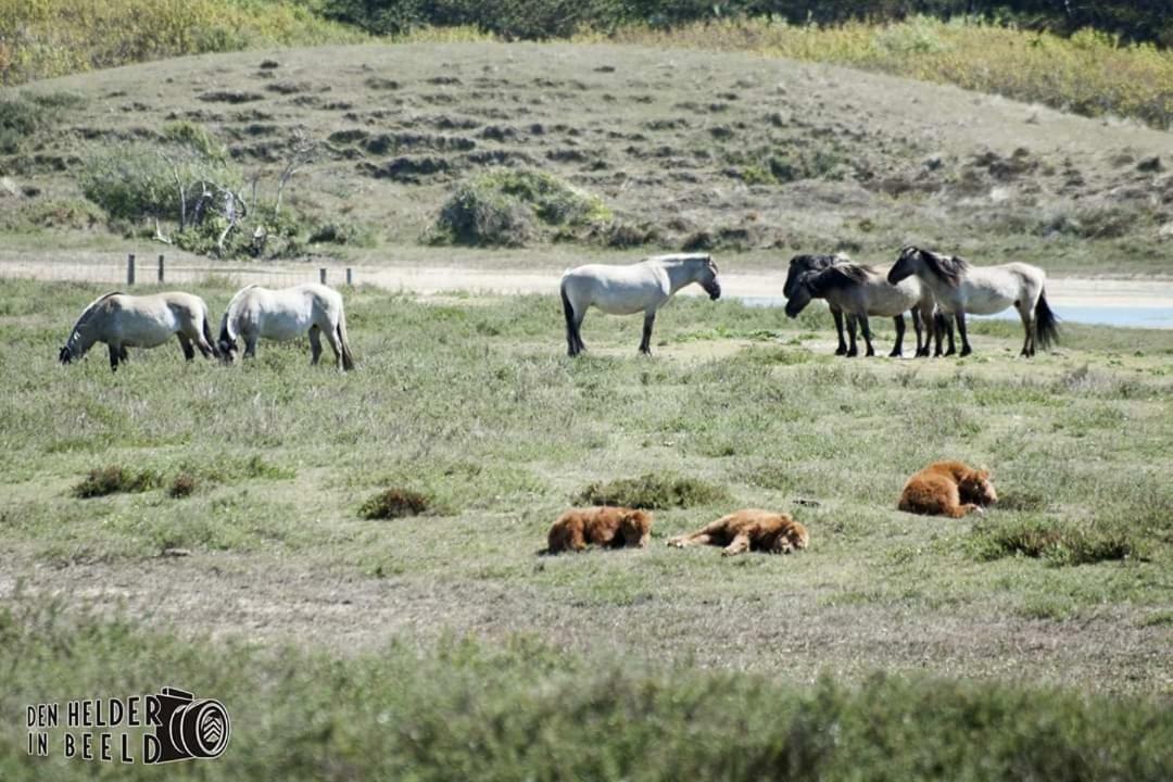 Prachtige Woning Aan De Duinen Villa Den Helder Esterno foto