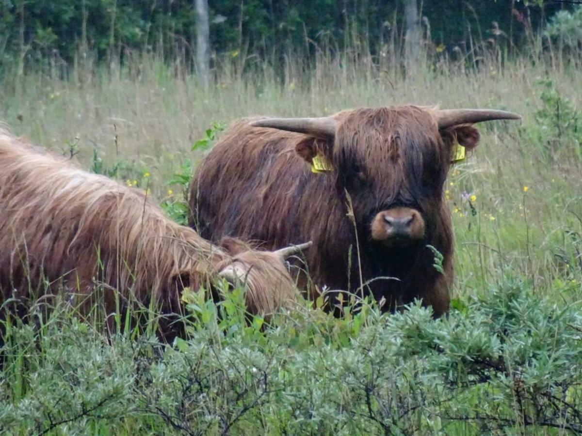 Prachtige Woning Aan De Duinen Villa Den Helder Esterno foto