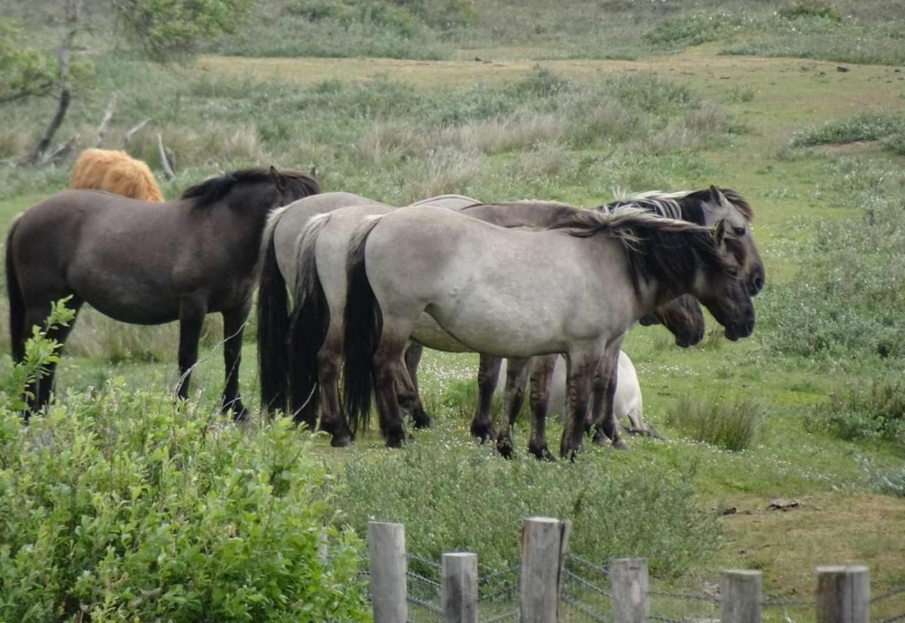 Prachtige Woning Aan De Duinen Villa Den Helder Esterno foto
